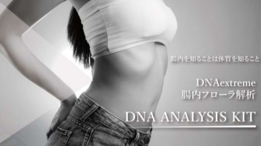 腸内フローラ解析
